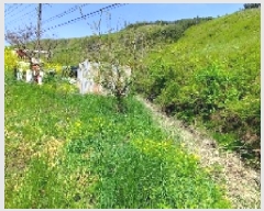  2025Ÿ��15699 �泲 ���ɽ� ��õ�� ��õ�� 468-2      ����(��1)���