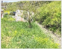  2025Ÿ��15699 �泲 ���ɽ� ��õ�� ��õ�� 468-2      ����(��1)���