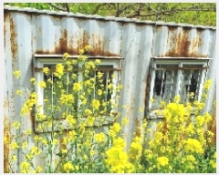  2025Ÿ��15699 �泲 ���ɽ� ��õ�� ��õ�� 468-2      ����(��1)���