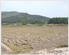  2025Ÿ��15713  ����