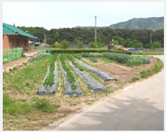  2025Ÿ��15713  ����