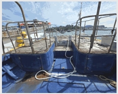  2025Ÿ15719           ڰ