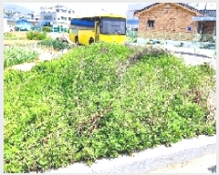  2025Ÿ��15730 �泲 ȫ���� ��õ�� ������ 576-3      ����(��)���