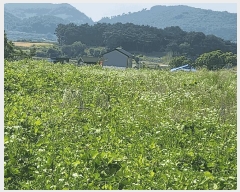  2025Ÿ��15759  ����