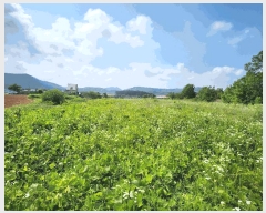  2025Ÿ��15759  ����