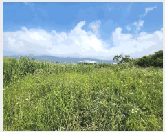  2025Ÿ��15759  ����