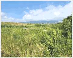  2025Ÿ��15759  ����