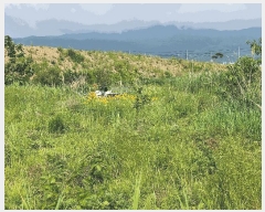  2025Ÿ��15759  ����