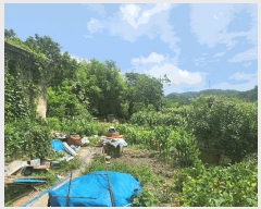  2025Ÿ��15796 �泲 ���ɽ� ��õ�� �Ҽ��� 572      ����(����)���