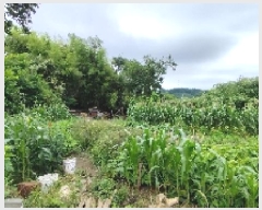  2025Ÿ��15796 �泲 ���ɽ� ��õ�� �Ҽ��� 572      ����(����)���