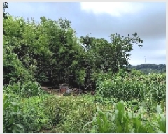  2025Ÿ��15796 �泲 ���ɽ� ��õ�� �Ҽ��� 572      ����(����)���