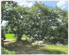  2025Ÿ��15818  ���ð��