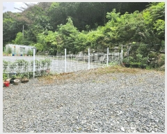  2025Ÿ��15826  ���(ķ����)���