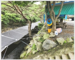  2025Ÿ��15826  ���(ķ����)���