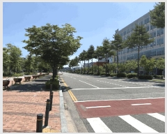  2025Ÿ��15834  �ٸ��󰡰��