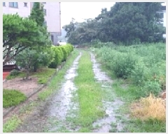  2025Ÿ��15839 �泲 ���걺 ����� ���� 293-4      ����(��1)���