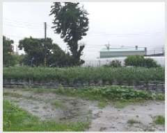  2025Ÿ��15839 �泲 ���걺 ����� ���� 293-4      ����(��1)���