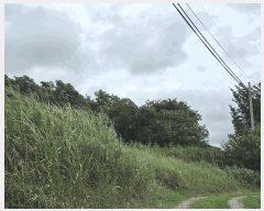  2025Ÿ��15908 �泲 ȫ���� ���θ� �ø� 691-1      ����(��1)���