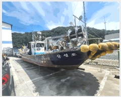  2025Ÿ��15914 �泲 ���ɽ� ���浿 1250 (��õ��)      ���ڰ��