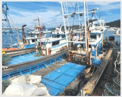  2025Ÿ��15924 �泲 ���ɽ� ���浿 ��õ��       ���ڰ��