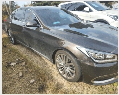  2025Ÿ��16049  �������