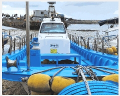  2025Ÿ��16126  ���ڰ��