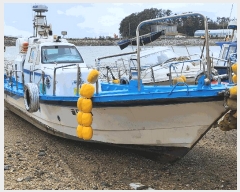  2025Ÿ��16126  ���ڰ��