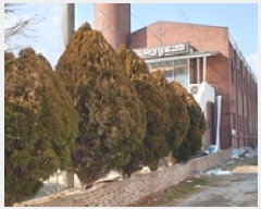  2025Ÿ��115  �󰡰��