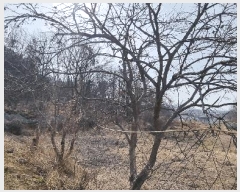  2025Ÿ��344 �泲 ��õ�� ���θ� ���� 680      ����(��)���