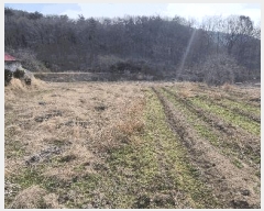  2025Ÿ��344 �泲 ��õ�� ���θ� ���� 680      ����(��)���