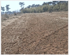  2025Ÿ443 泲 ȫ θ 縮 164-15      (1)