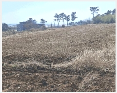  2025Ÿ443 泲 ȫ θ 縮 164-15      (1)