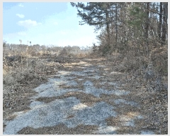  2025Ÿ443 泲 ȫ θ 縮 164-15      (1)