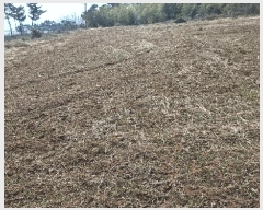  2025Ÿ443 泲 ȫ θ 縮 164-15      (1)