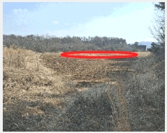  2025Ÿ443 泲 ȫ θ 縮 164-15      (1)