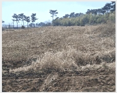  2025Ÿ443 泲 ȫ θ 縮 164-15      (1)