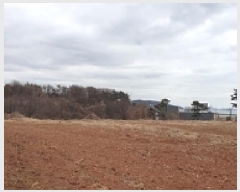  2025Ÿ443 泲 ȫ θ 縮 164-15      (1)