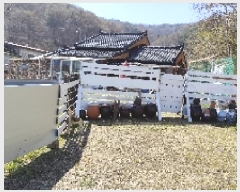  2025Ÿ795 泲 õ Ǳ 븮 423-2      ð