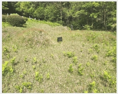  2025Ÿ��1008 �泲 ��õ�� ����� �۸��� ��18      ����(�Ӿ�)���