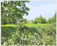  2025Ÿ1014 泲 ȫ õ  428-5      ܵ,ð