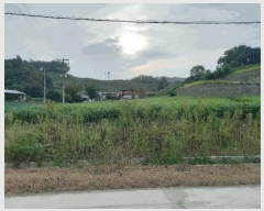  2025Ÿ��1061 �泲 ���걺 ������ �Ÿ� 145      ����(����)���