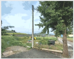  2025Ÿ��1061 �泲 ���걺 ������ �Ÿ� 145      ����(����)���