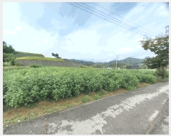  2025Ÿ��1061 �泲 ���걺 ������ �Ÿ� 145      ����(����)���