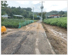  2025Ÿ��1061 �泲 ���걺 ������ �Ÿ� 145      ����(����)���