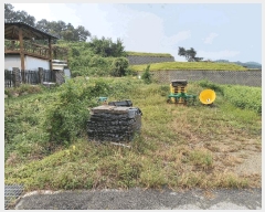  2025Ÿ��1061 �泲 ���걺 ������ �Ÿ� 145      ����(����)���