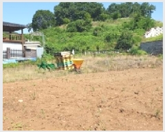  2025Ÿ��1061 �泲 ���걺 ������ �Ÿ� 145      ����(����)���