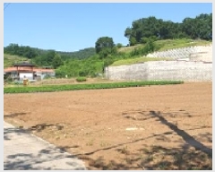  2025Ÿ��1061 �泲 ���걺 ������ �Ÿ� 145      ����(����)���