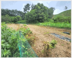  2025Ÿ��1074 �泲 ���ɽ� û��� ������ 305      ����(��1)���