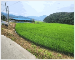  2025Ÿ��1074 �泲 ���ɽ� û��� ������ 305      ����(��1)���