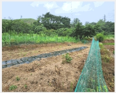  2025Ÿ��1074 �泲 ���ɽ� û��� ������ 305      ����(��1)���